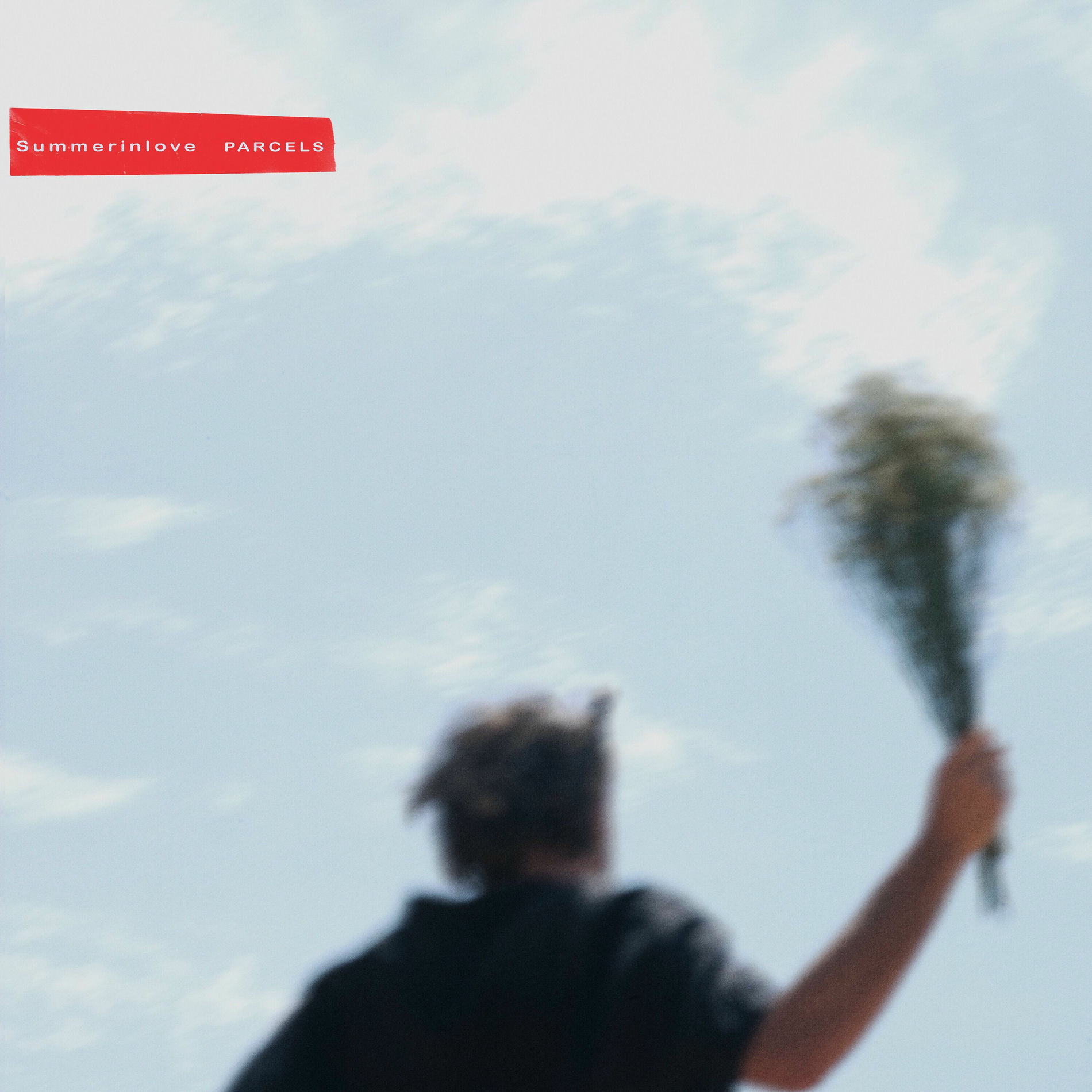 Album cover of Summerinlove