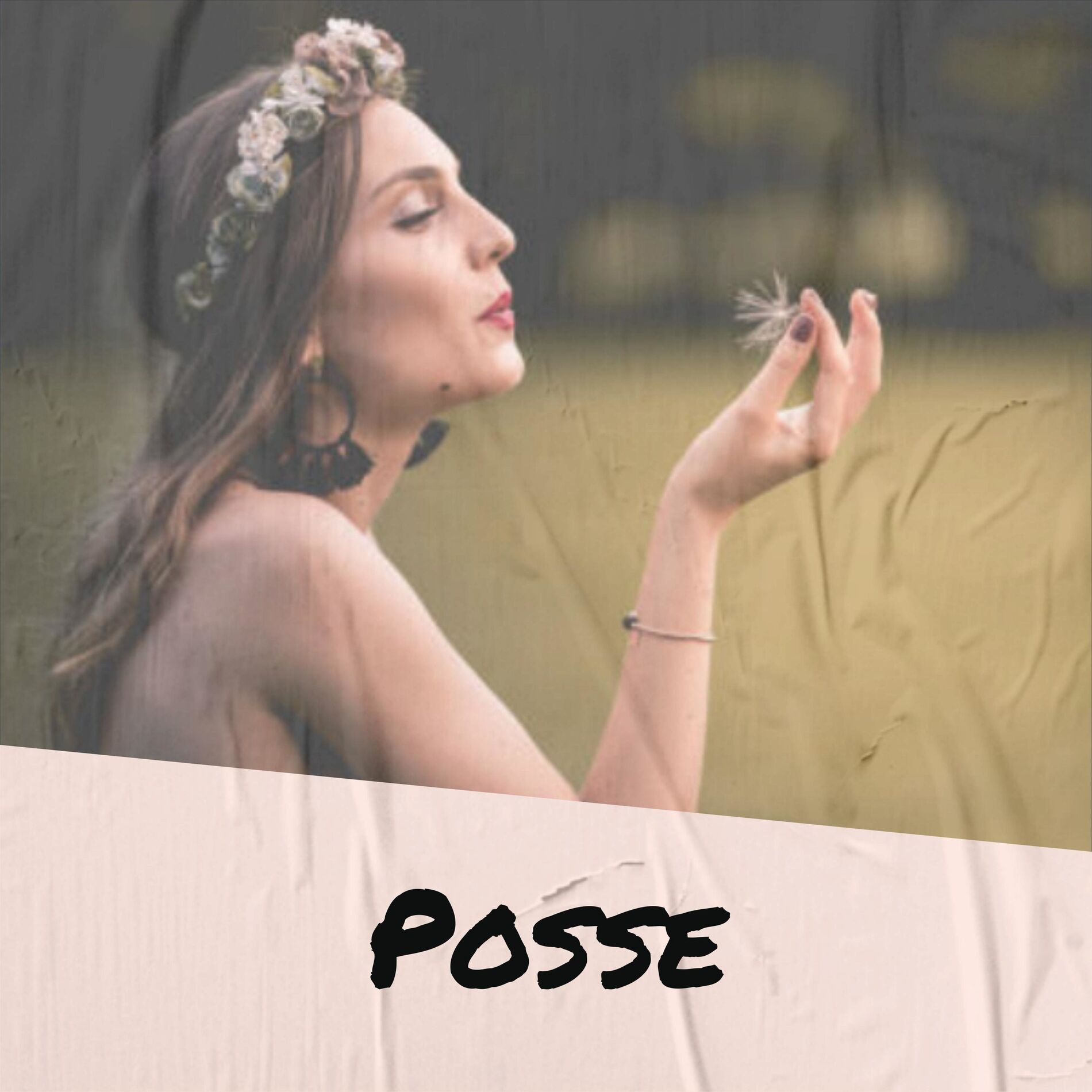 Album cover of Posse