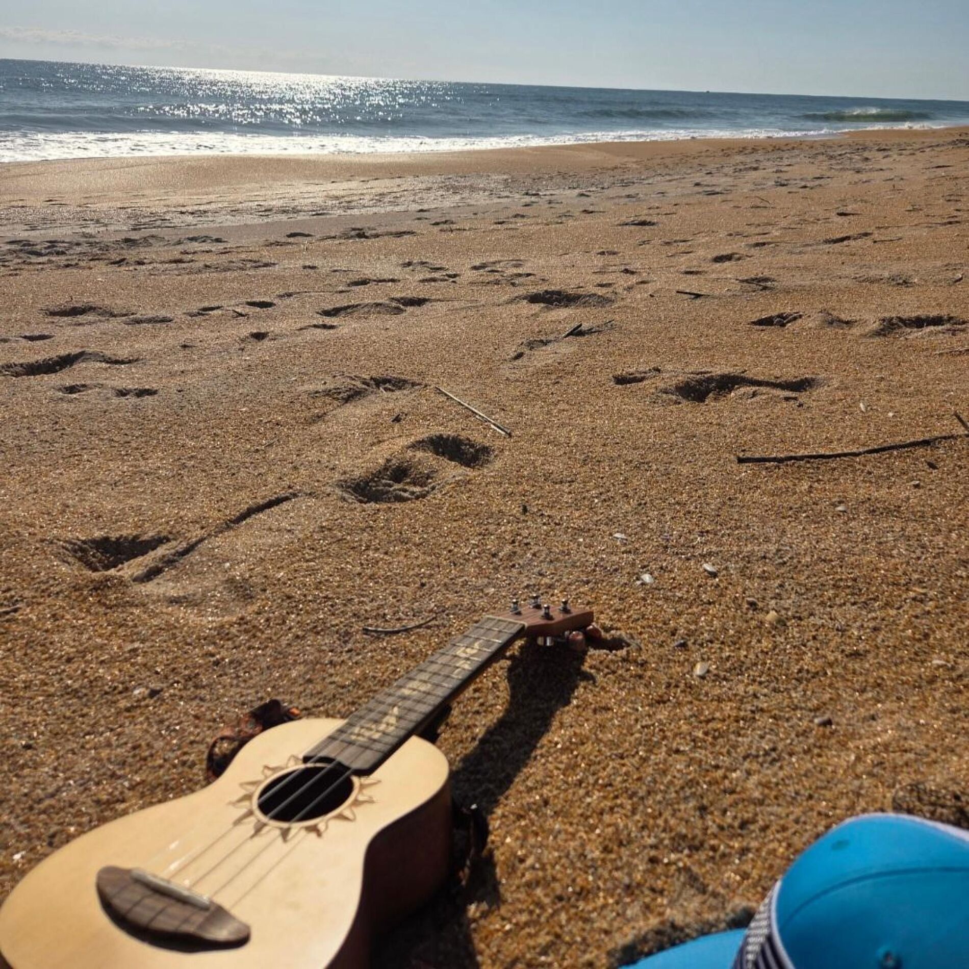 Album cover of Blue Bird