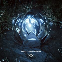 Cover of Darkbloom