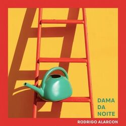 Cover of Dama da Noite