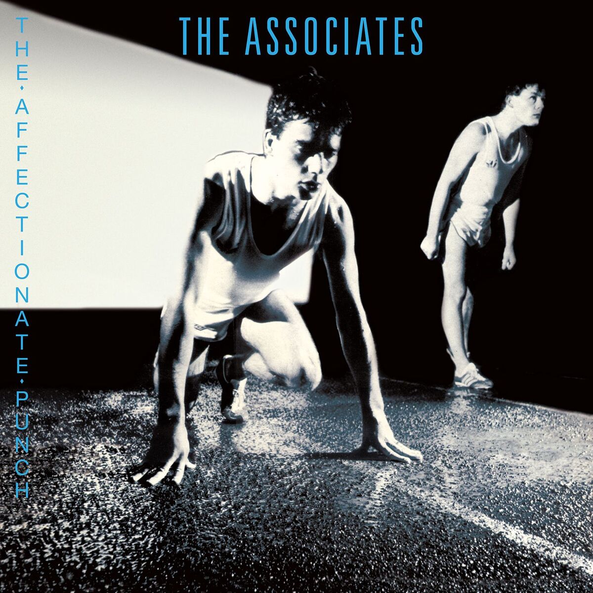 Album cover of The Affectionate Punch