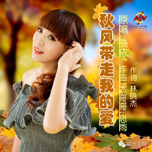 秋风带走我的爱 (舞曲版)
