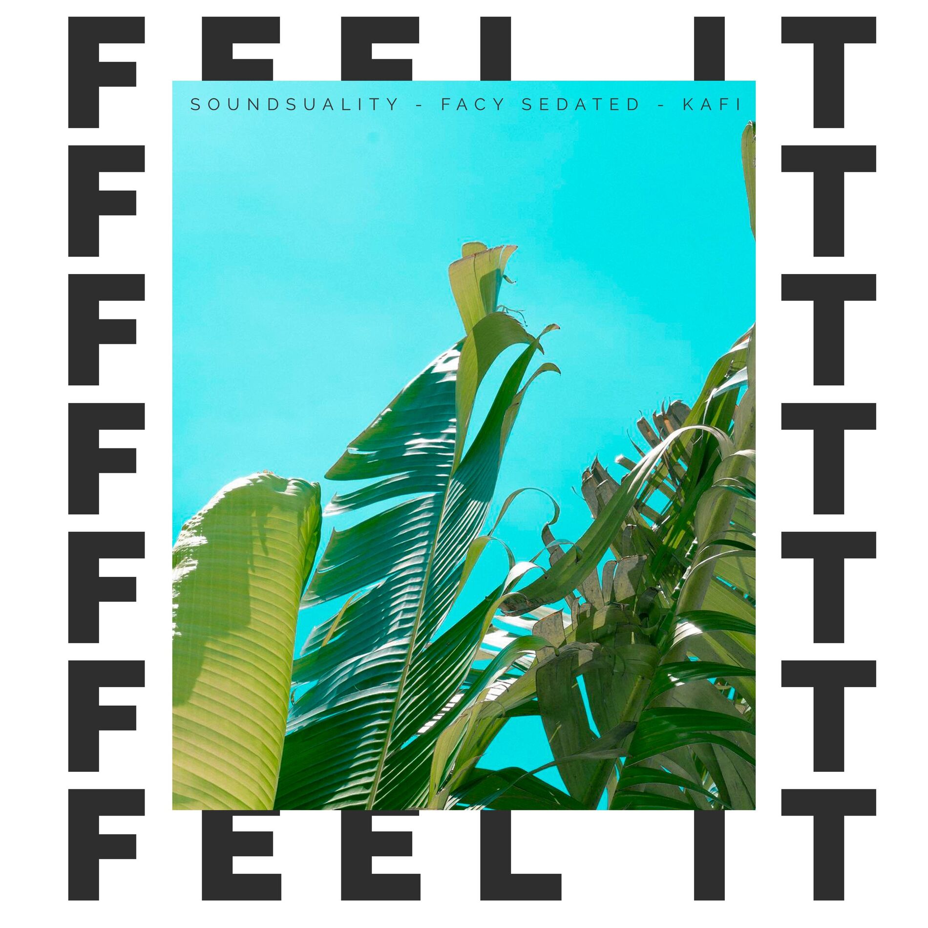 Album cover of Feel It