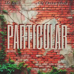 Cover of Particular (Remix)