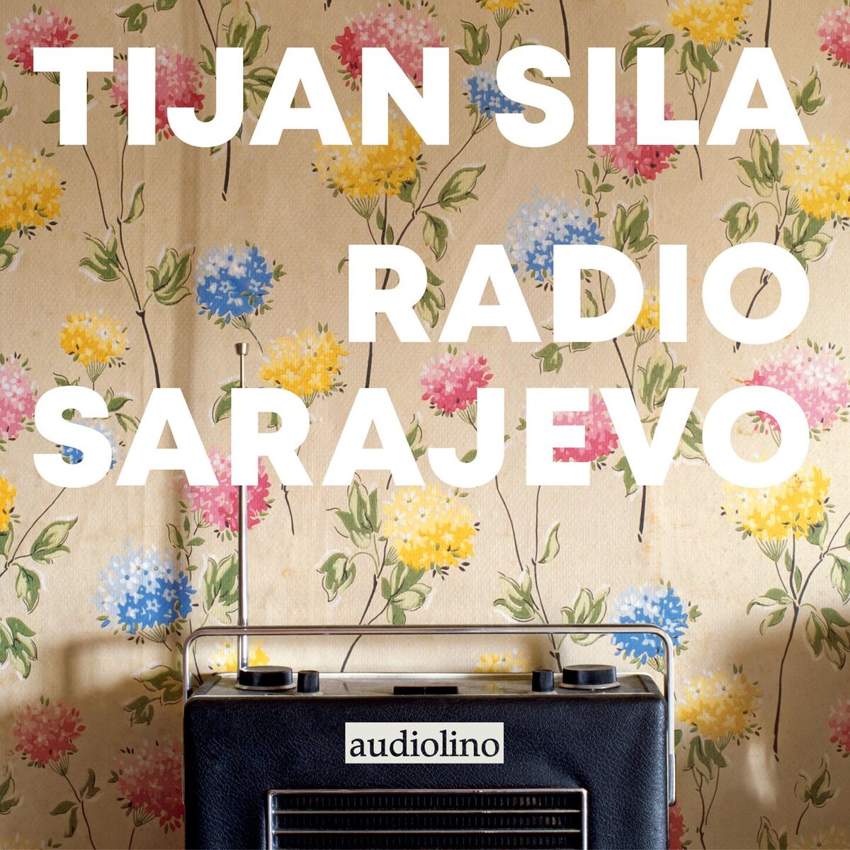 Album cover of Radio Sarajevo (ungekürzt)