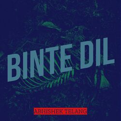 Cover of Binte Dil