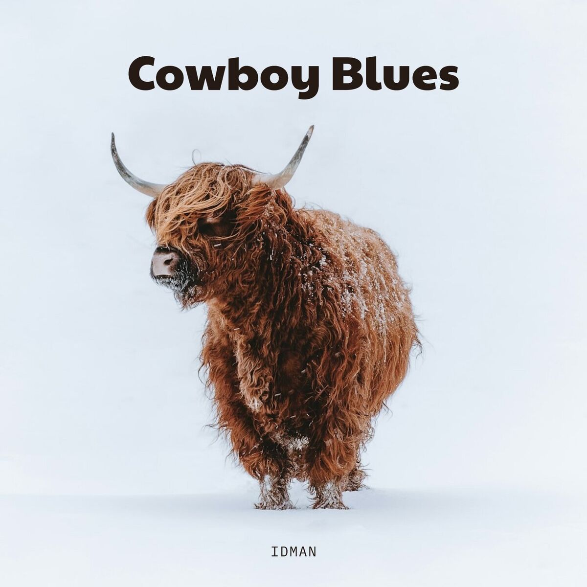 Album cover of Cowboy Blues