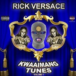 Cover of Kwaaiman Tings