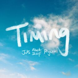 Cover of Timing