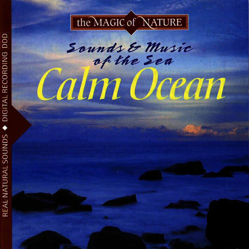 Picture of Calm Ocean