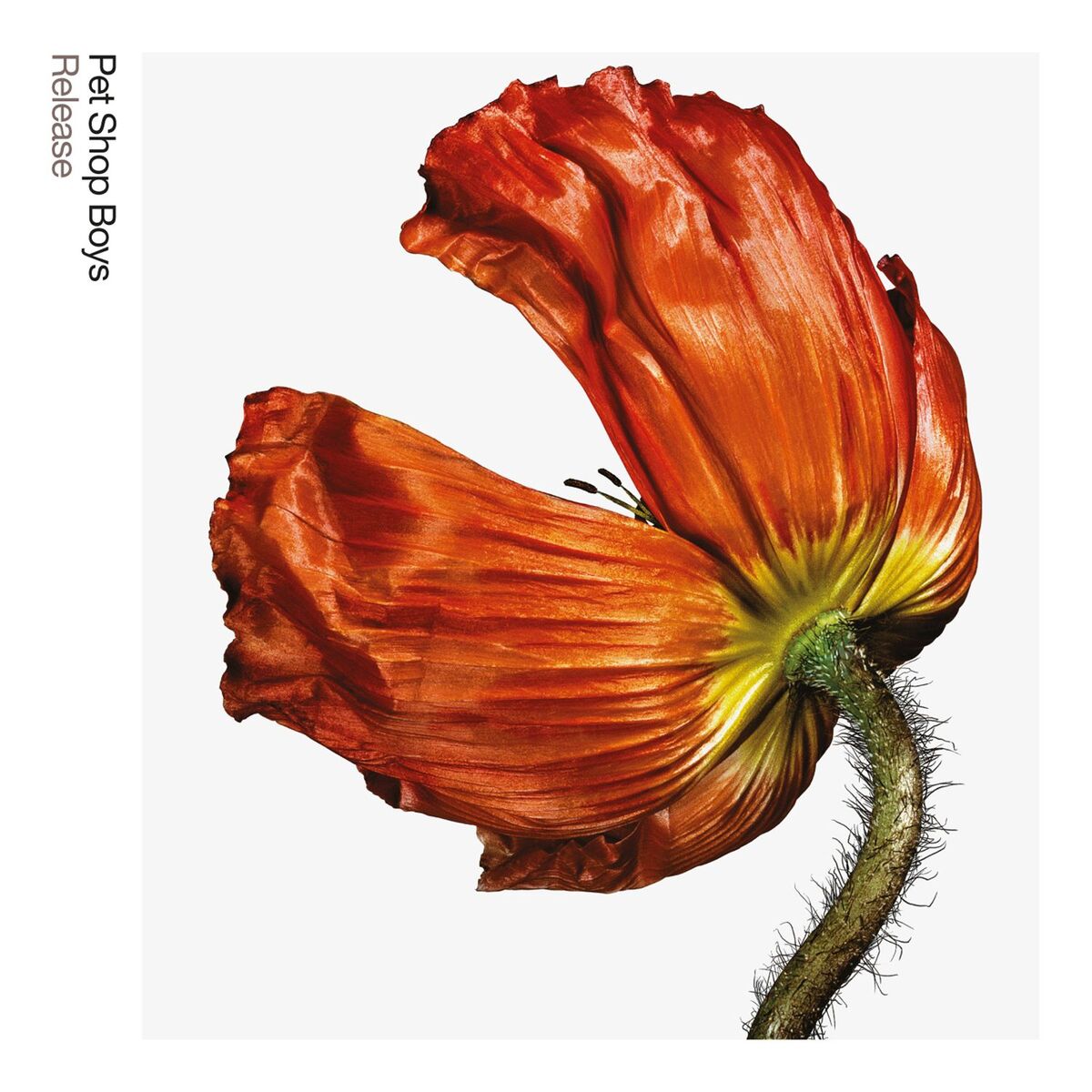 Album cover of Release: Further Listening 2001 - 2004 (2017 Remaster)
