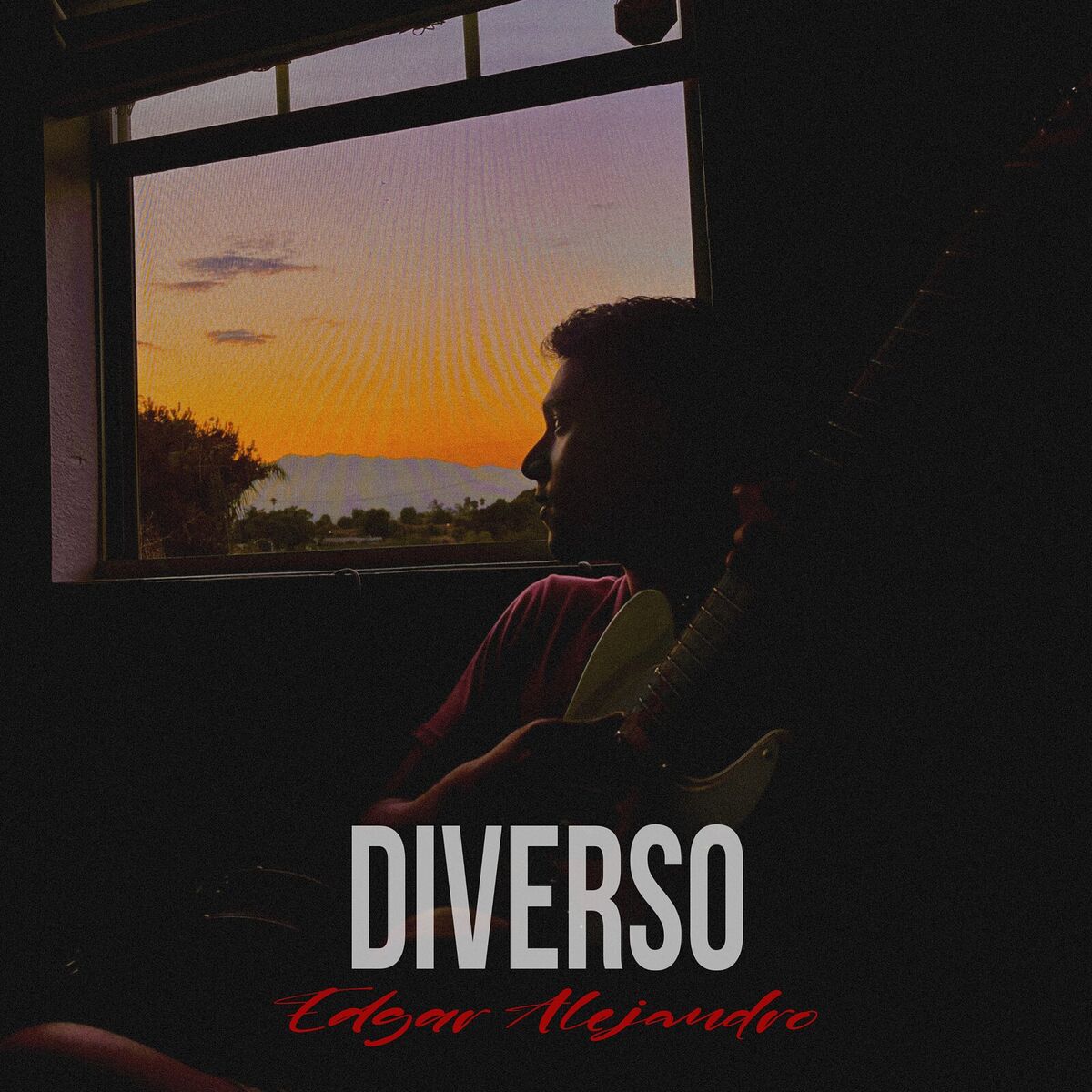Album cover of Diverso