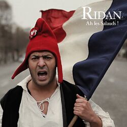 Cover of Ah les salauds !