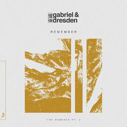 Cover of Remember (The Remixes pt. 2)