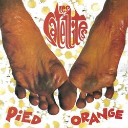 Cover of Pied Orange