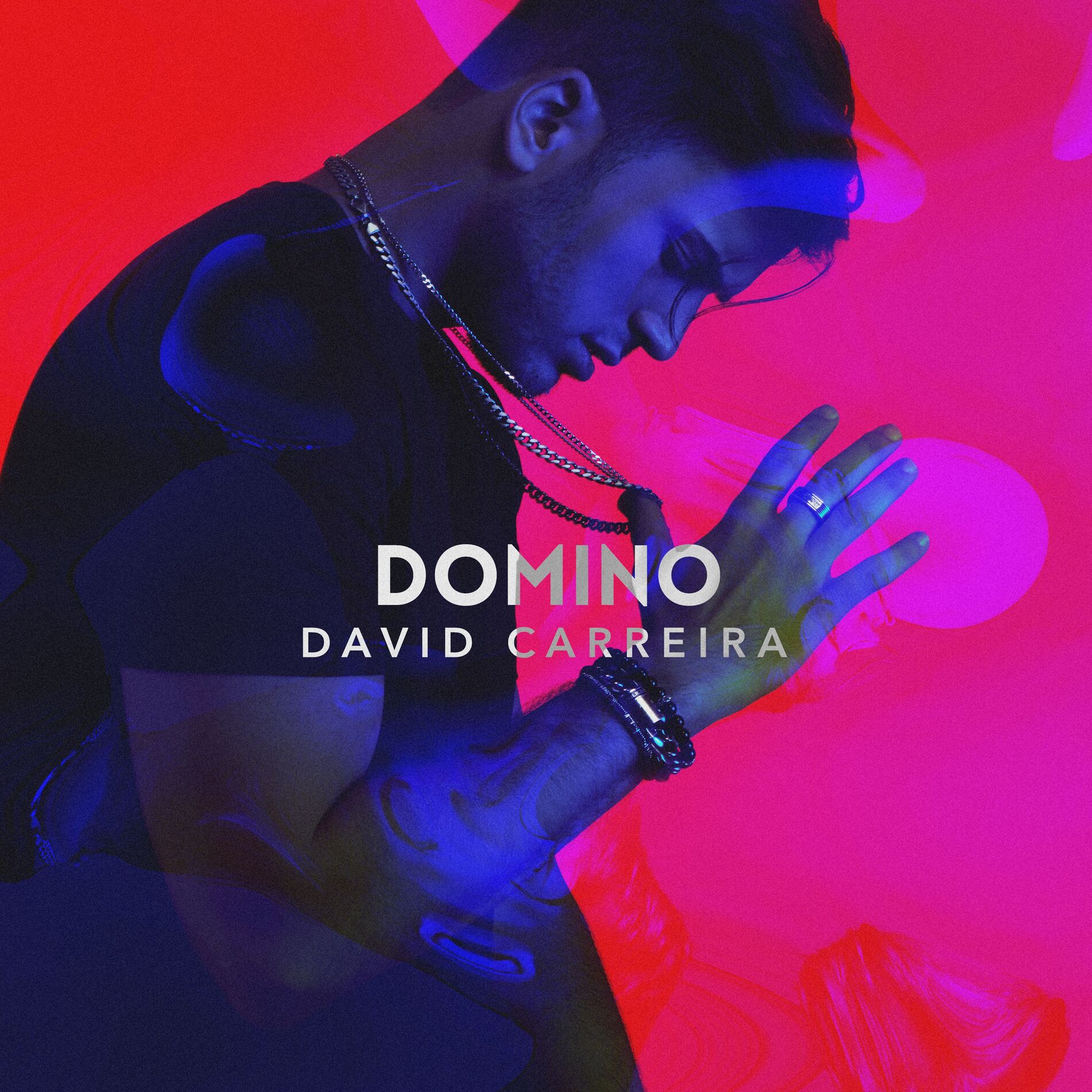 Album cover of Domino