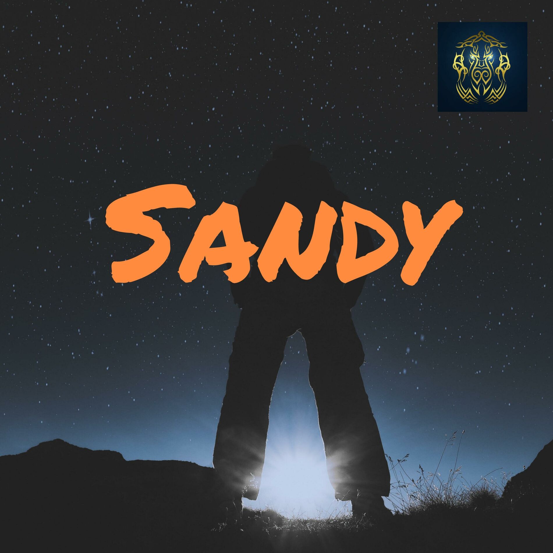 Album cover of Sandy
