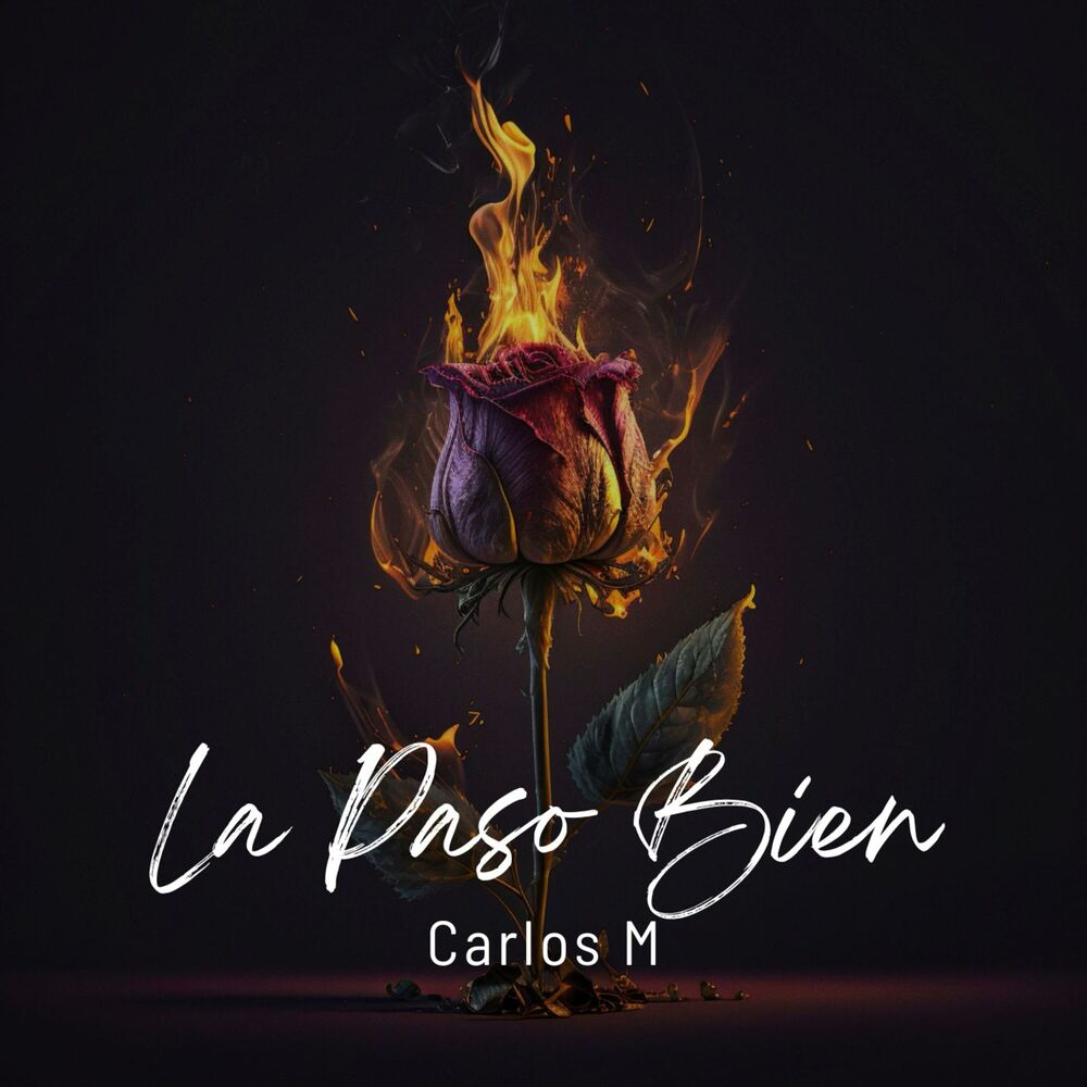 Picture of La Paso Bien