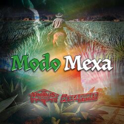 Cover of Modo Mexa
