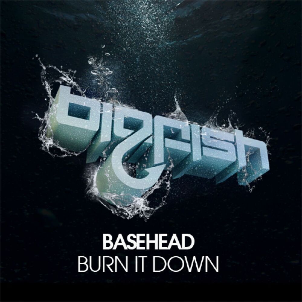 Picture of Burn It Down