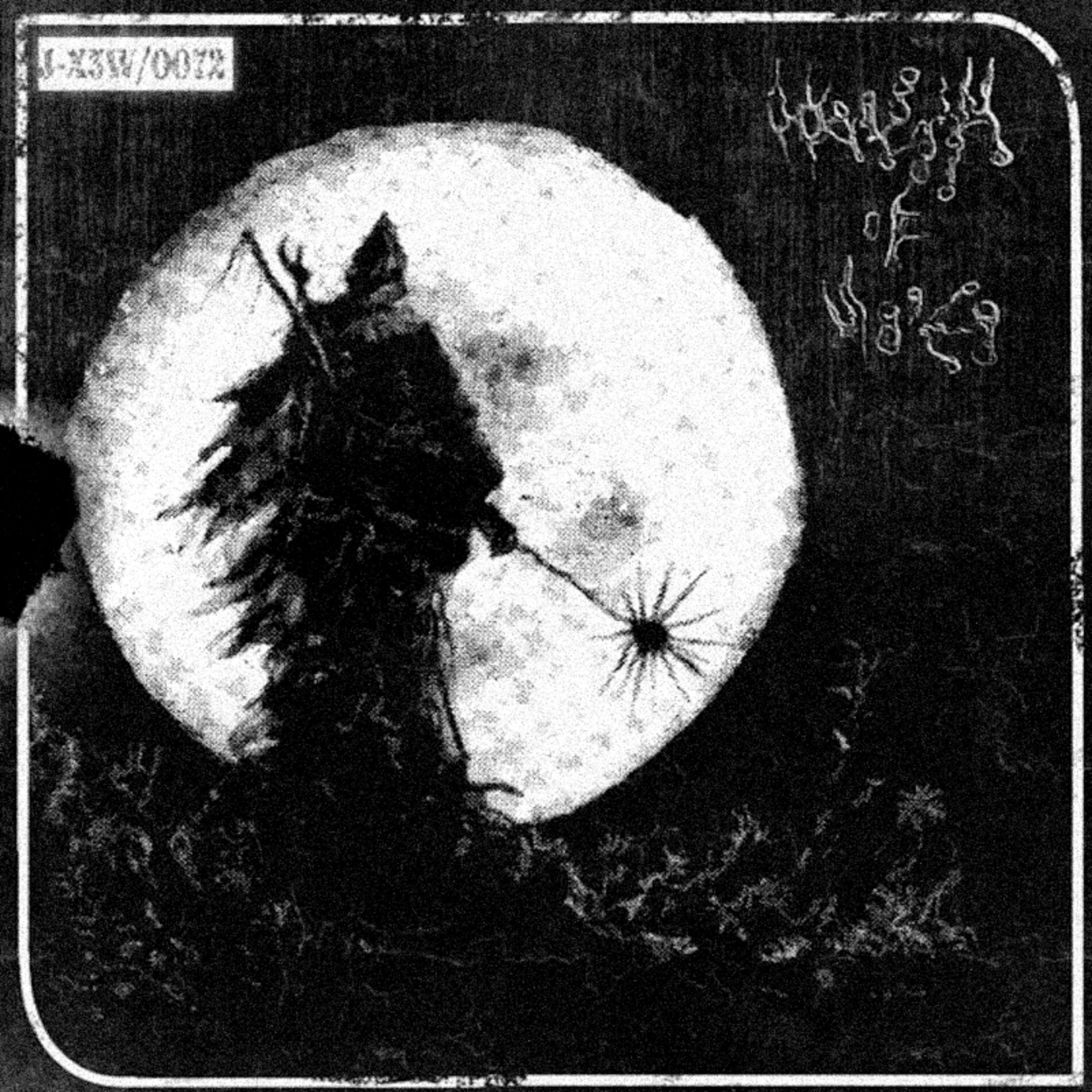 Album cover of UNFORGOTTEN