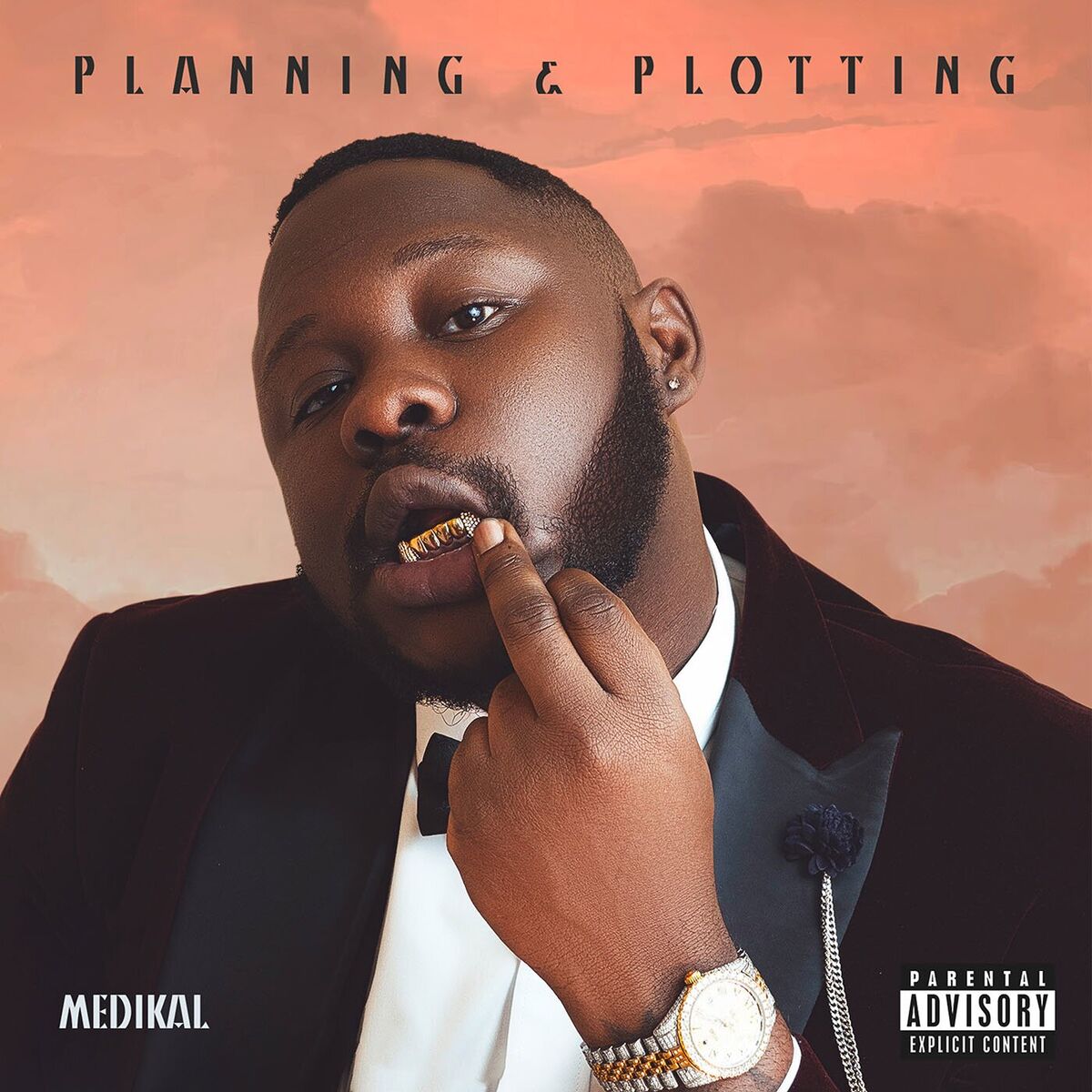 Album cover of Planning & Plotting