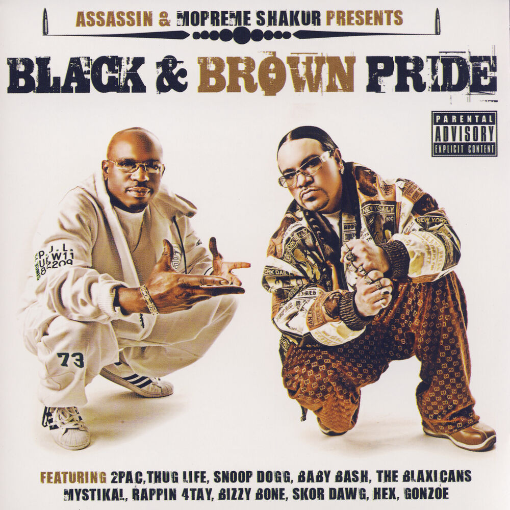 Picture of Black & Brown Pride