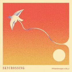 Cover of Skycrossing