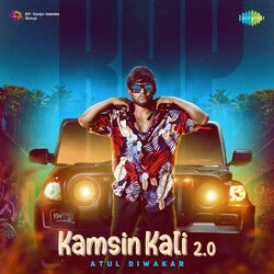Cover of Kamsin Kali 2.0