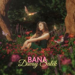 Cover of Diway Salêk