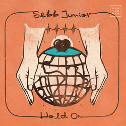 Cover of Hold On