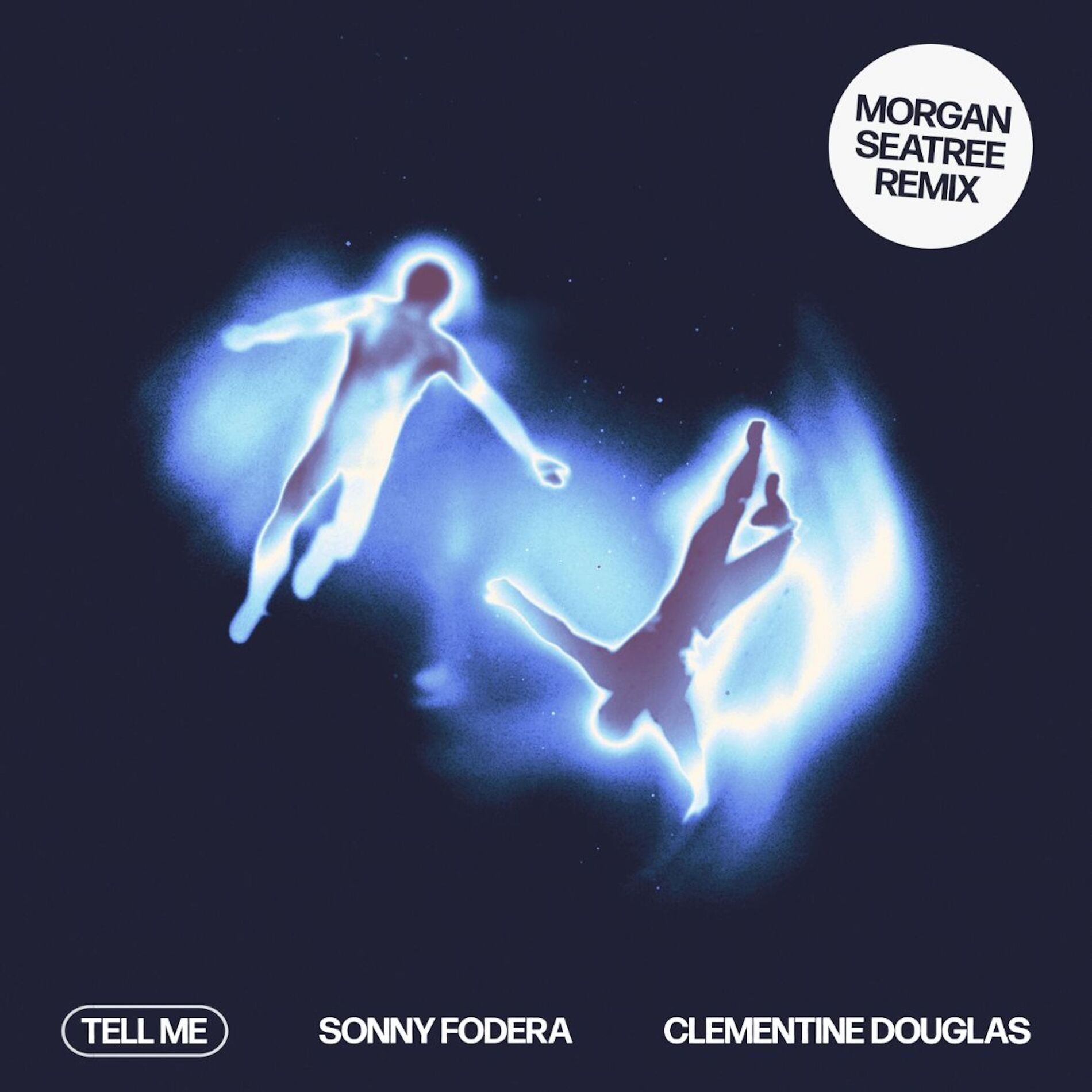 Album cover of Tell Me (Morgan Seatree Remix)