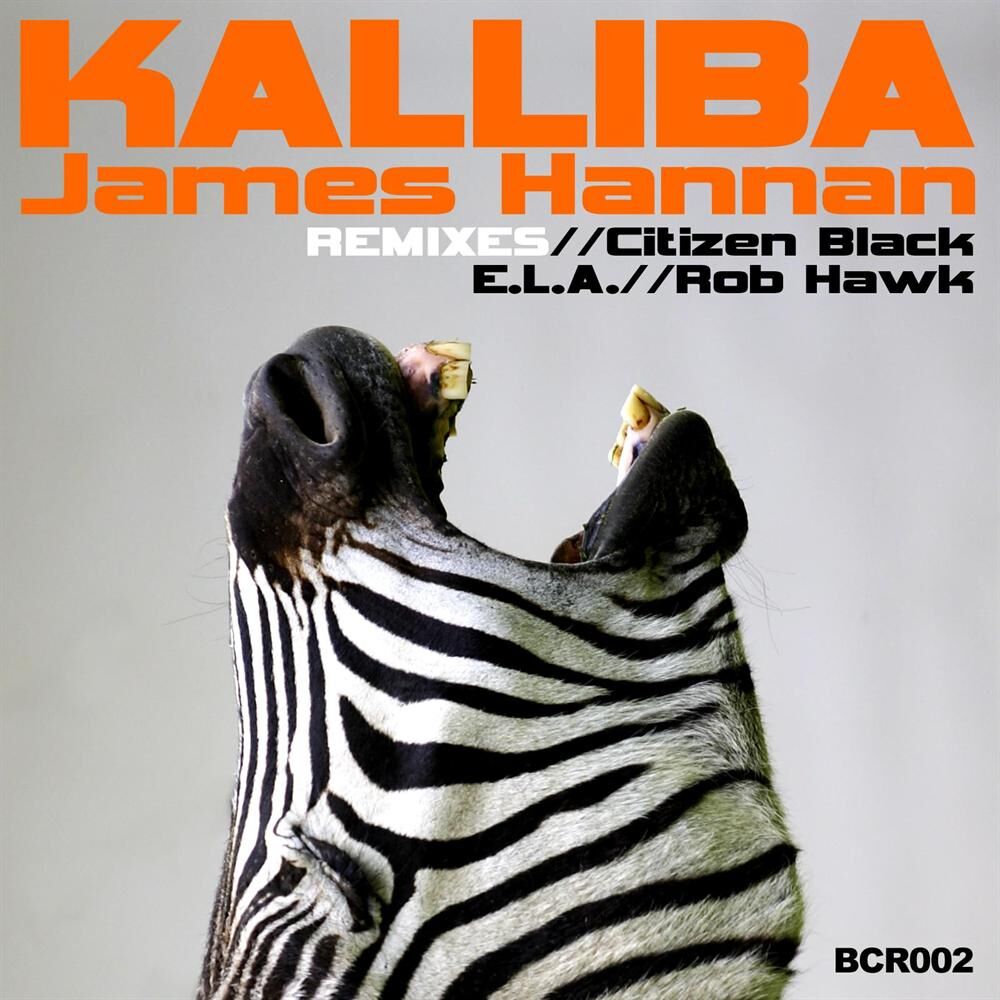 Picture of Kalliba EP