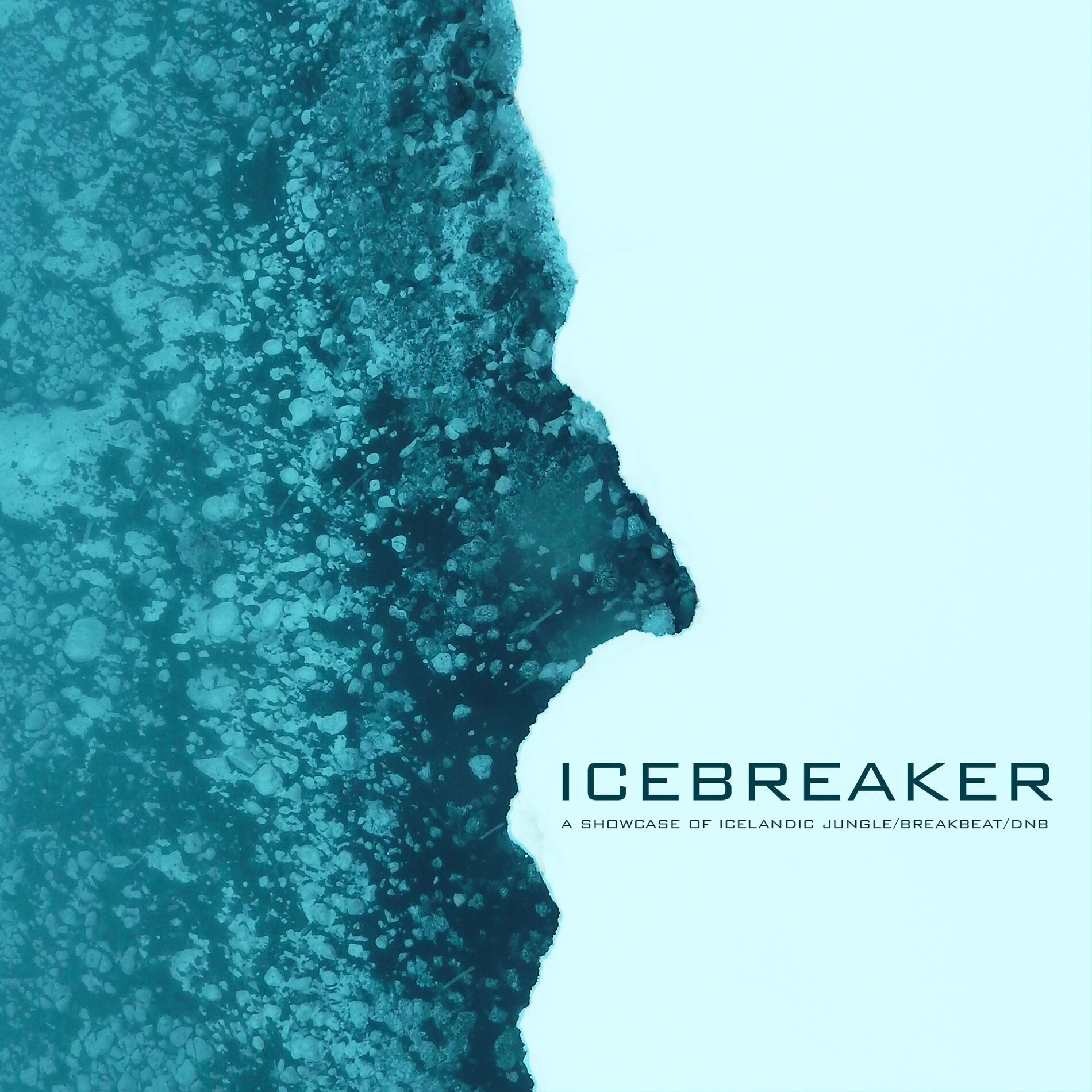 Album cover of Icebreaker