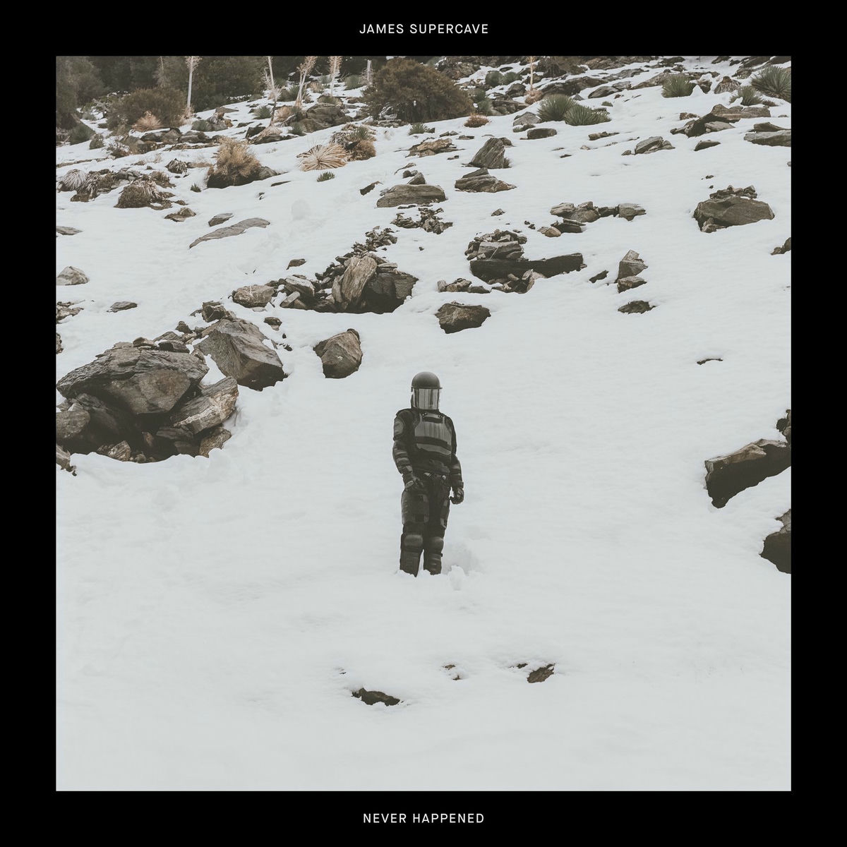 Album cover of Never Happened