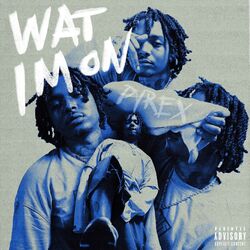 Cover of Wat im On