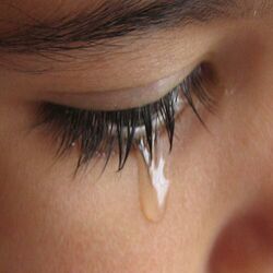 Cover of You'll Never See Me Cry Again