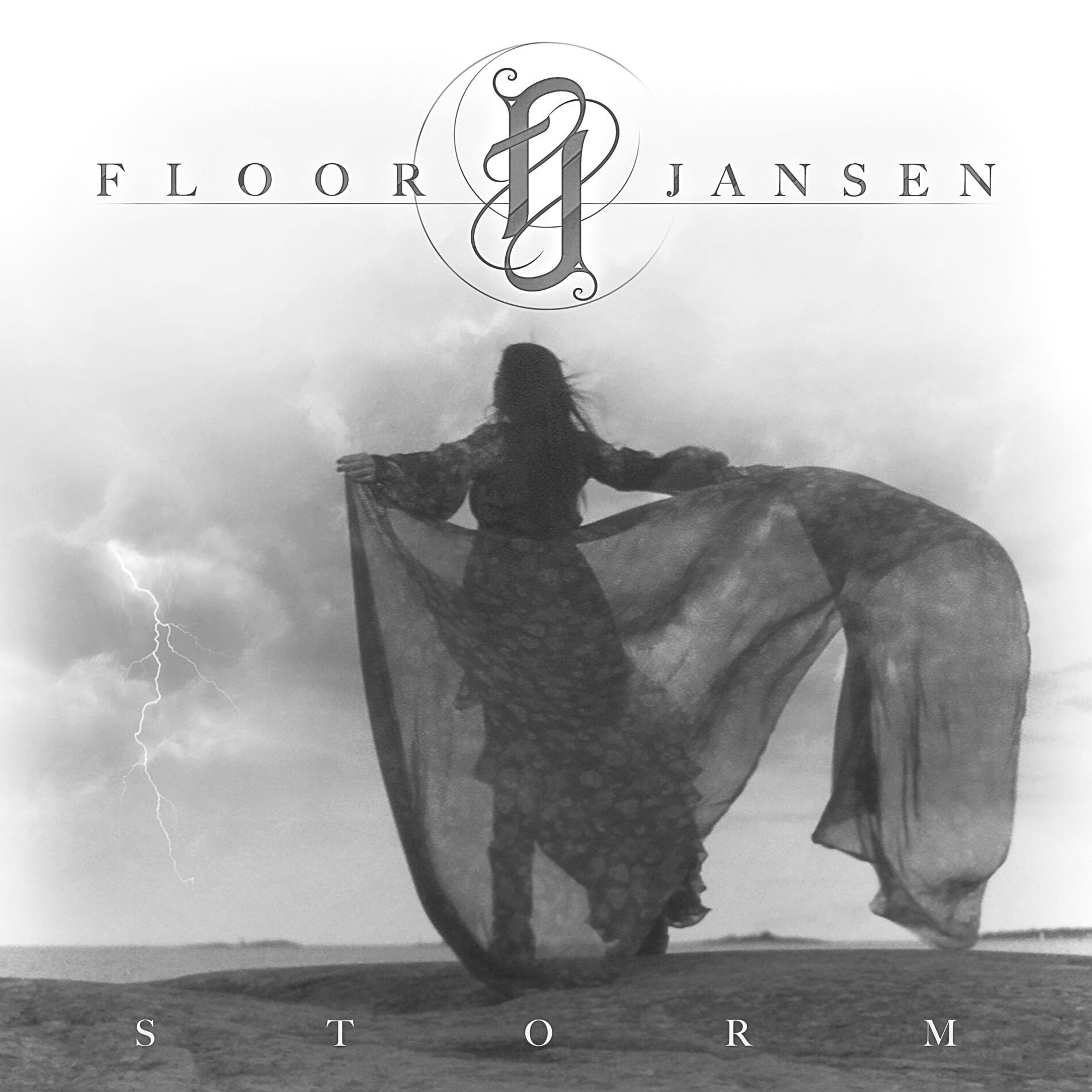 Album cover of Storm