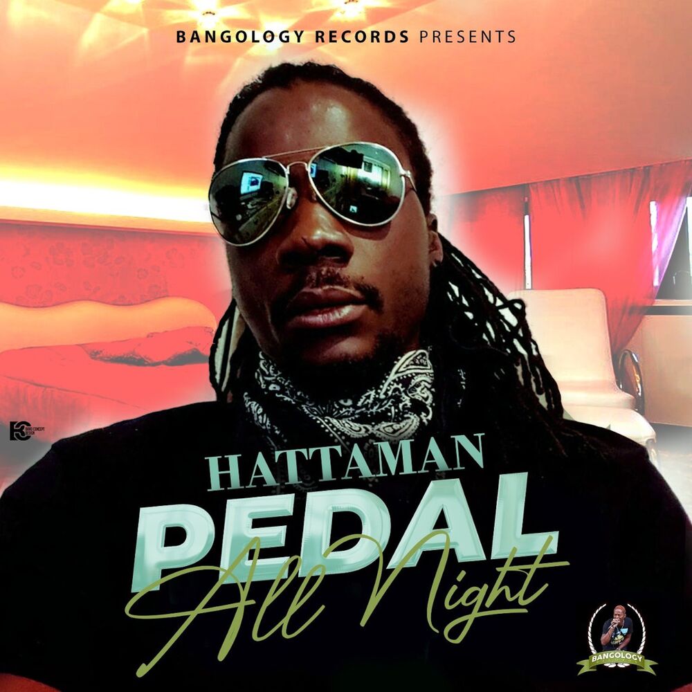 Picture of Pedal All Night