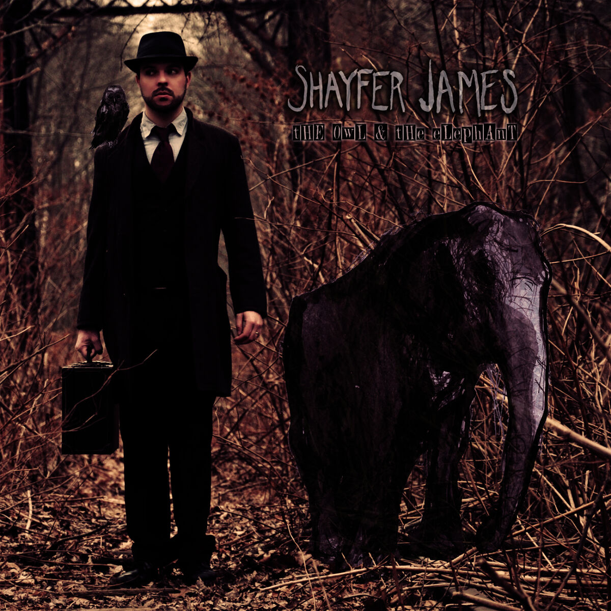 Album cover of The Owl & The Elephant