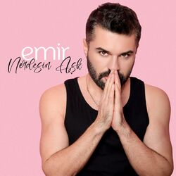 Cover of Nerdesin Aşk