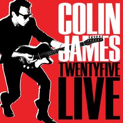 Cover of Twenty Five Live