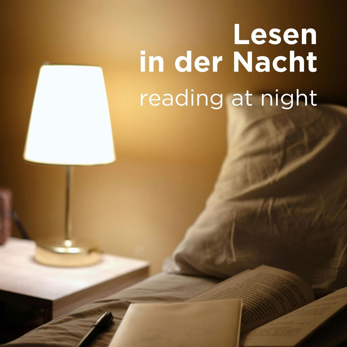 Album cover of Lesen in der Nacht - reading at night (no vocals)