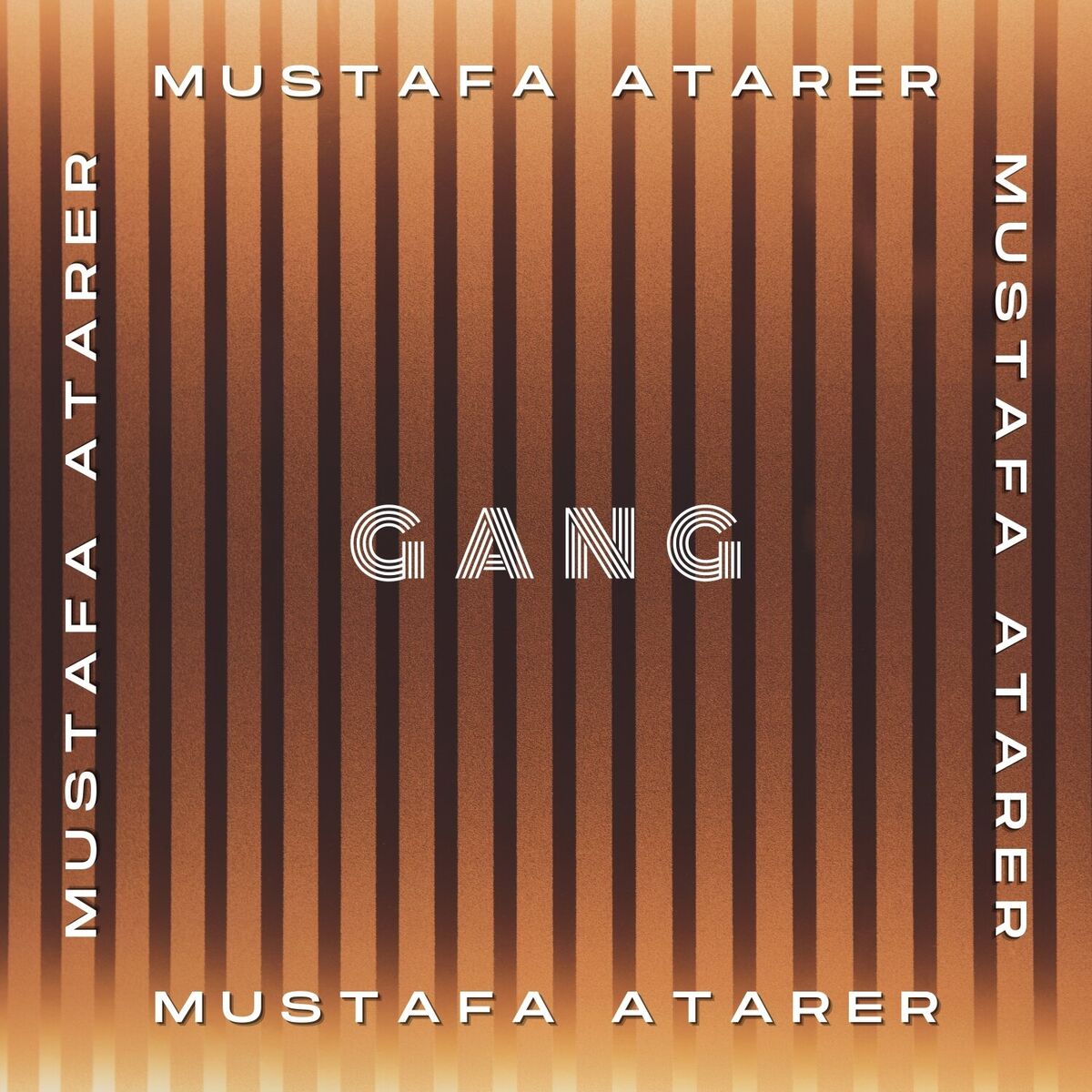 Album cover of Gang