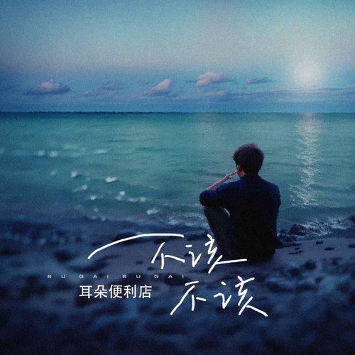 不该不该