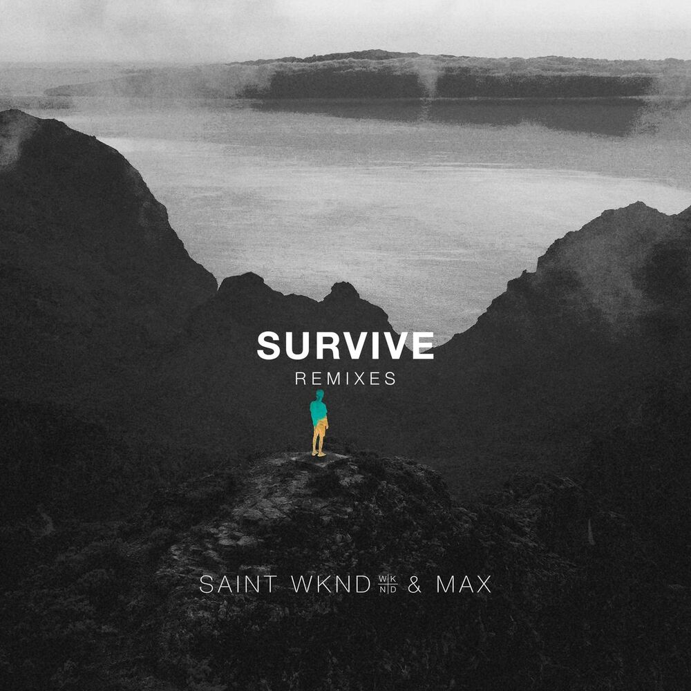Picture of Survive (Remixes)