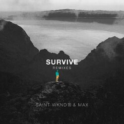 Cover of Survive (Remixes)