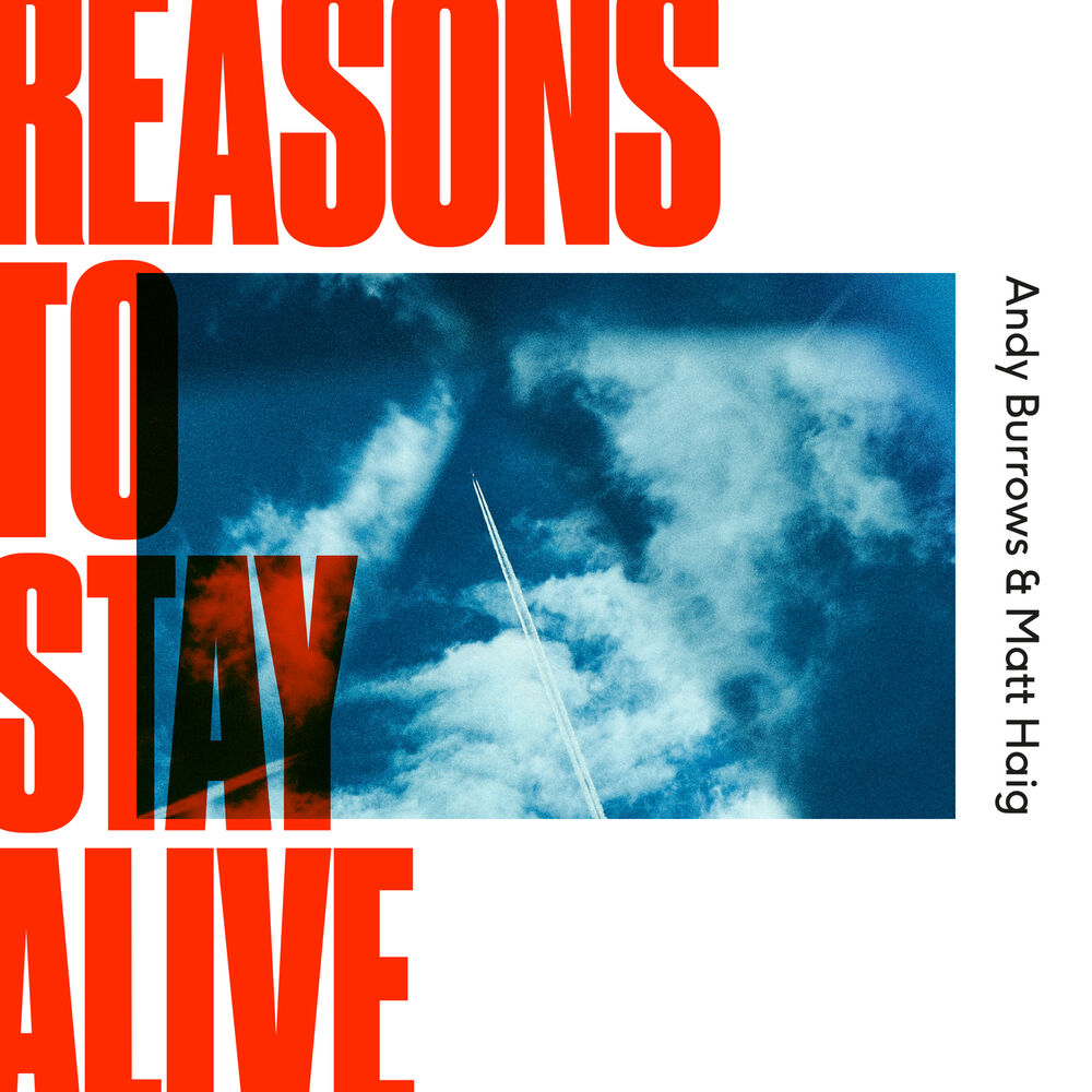 Picture of Reasons To Stay Alive