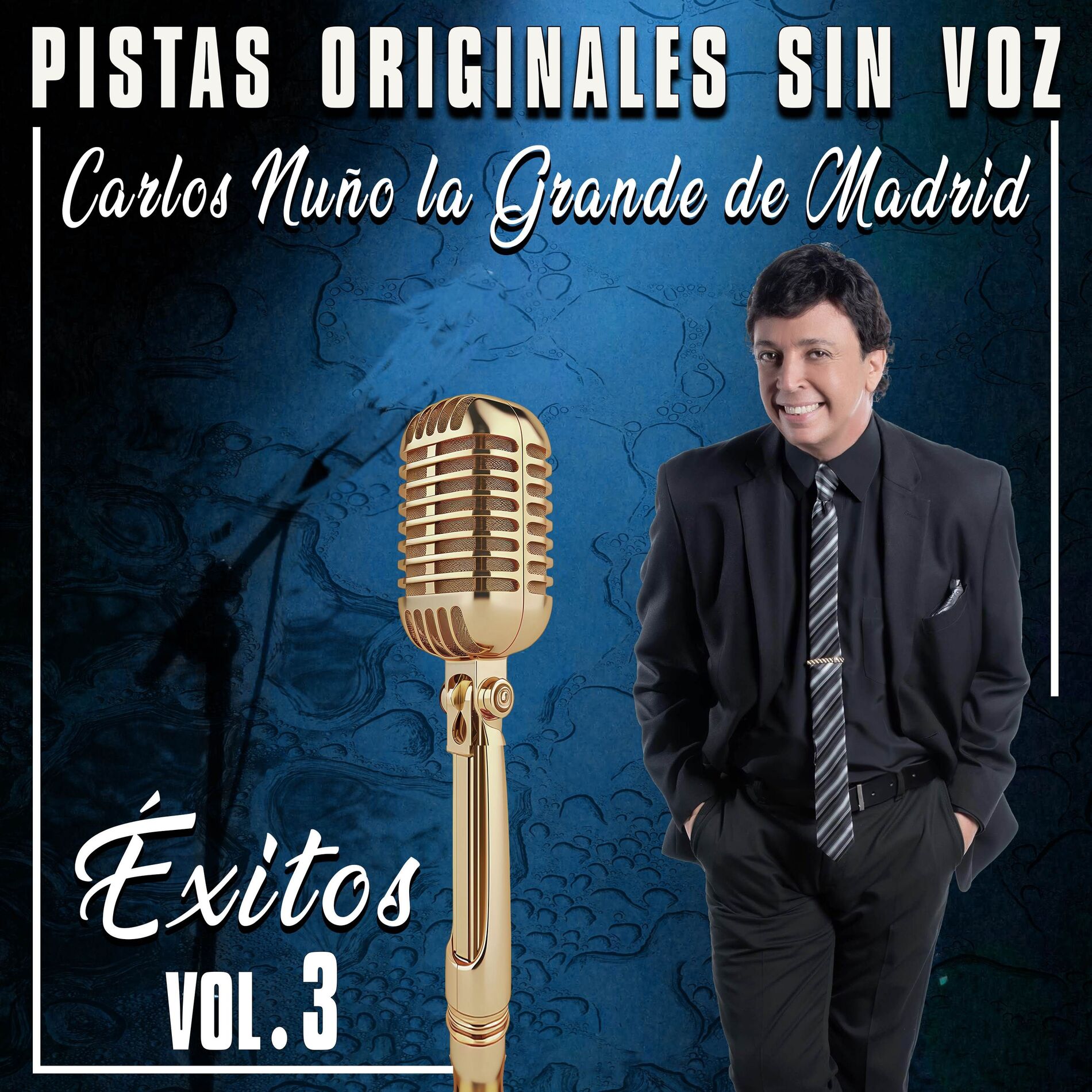 Album cover of Pistas Originales Sin Voz (Éxitos Vol. 3)